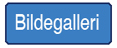 knapp for og komme til bildegalleri