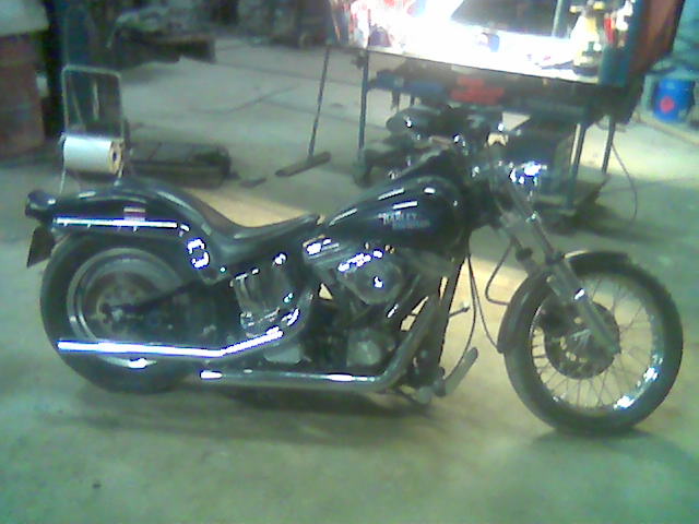 harley